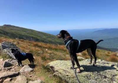 A Day in the Northern Presidentials